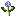 blue flower seed agent preview