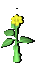 C16 Preview - flower3yel[6]