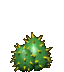 c2 cacti toys agent preview