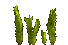 C16 Preview - moe_arctica_arcticmoss_water[15]