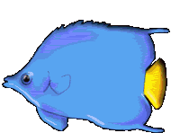 Fish Vendor thumbnail image