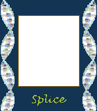 hspl frame 0