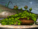 pottedsimplelittleplant