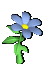 C16 Preview - flower3peri[9]