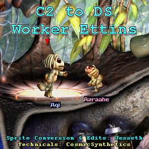 C2 to DS worker ettins on the incubator pad in the DS norn meso