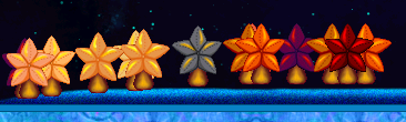 Orange and red star shaped mushrooms