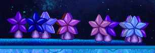 Purple and blue star shaped mushrooms